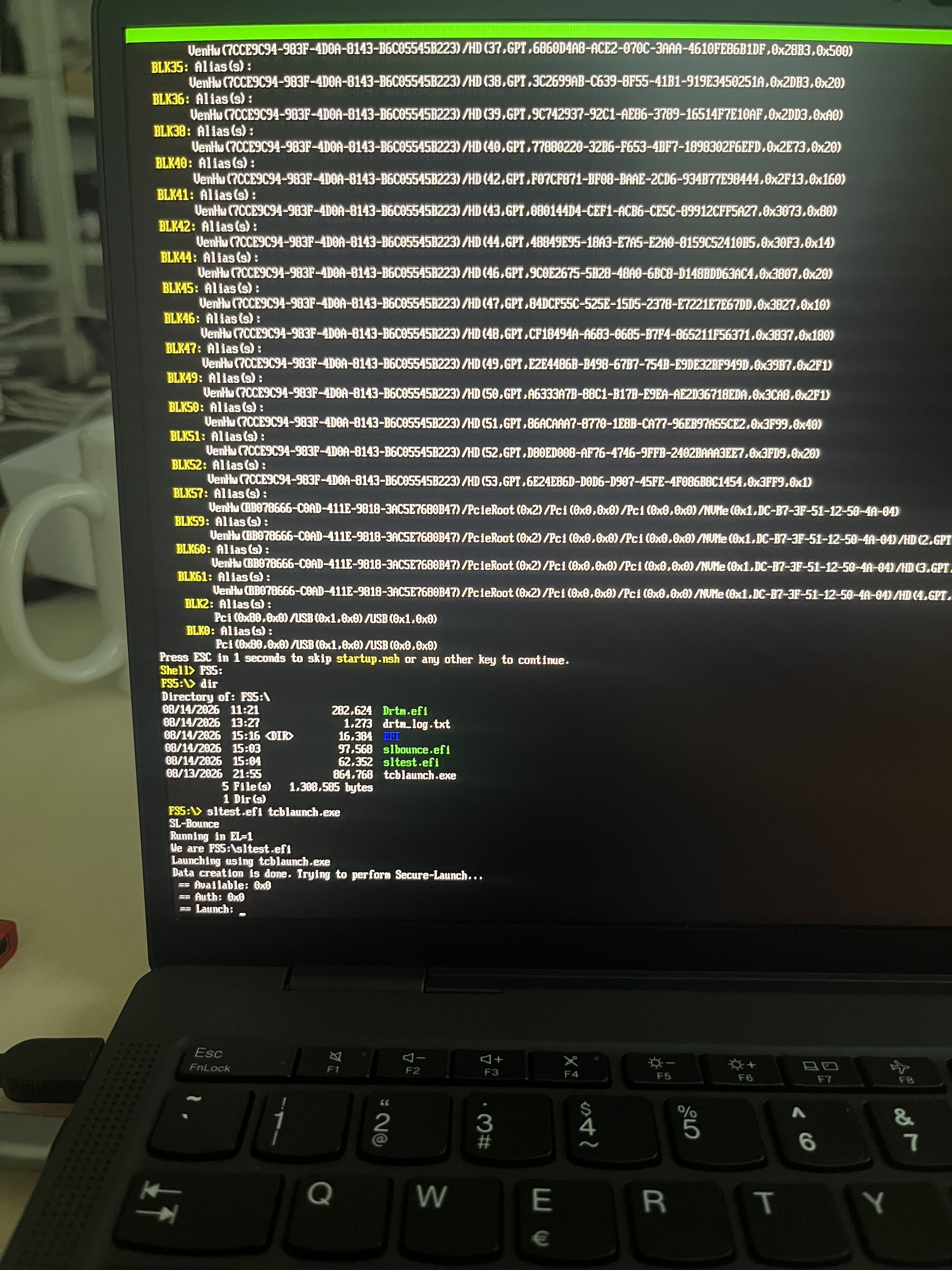 Results of running sltest.efi