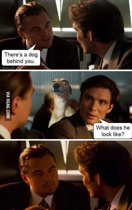 https://9gag.com/gag/aKwbpgg/theres-a-dog-behind-you